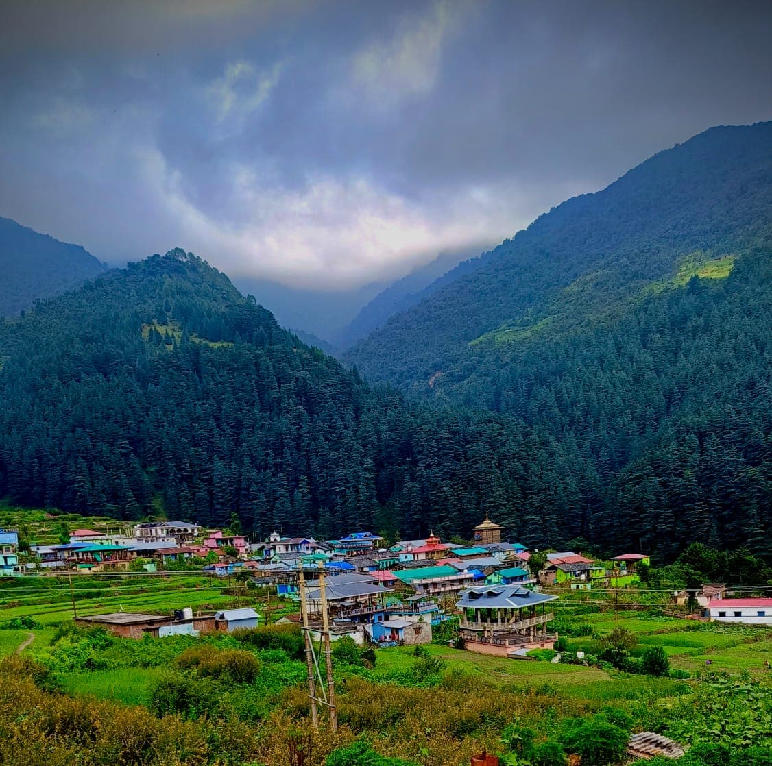 Homestay surrounded by lush green forest and mountains